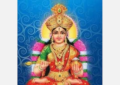 ஆடி ஸ்பெஷல்; தனம் - தானியம் தரும் அன்னபூரணி வழிபாடு! 
