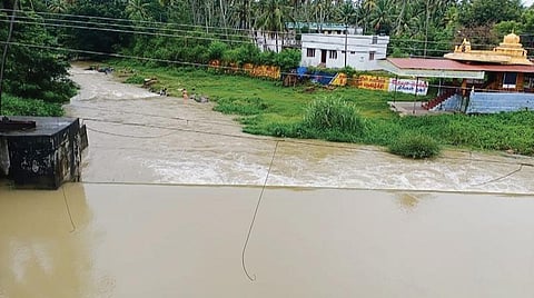 குமரியில்  கனமழையால் ஆறுகளில் வெள்ள பெருக்கு ஏற்பட்டுள்ளது. இரணியல் வள்ளியாற்றில் கரைபுரண்டோடும் மழைநீர்.   படம்: எல்.மோகன்.