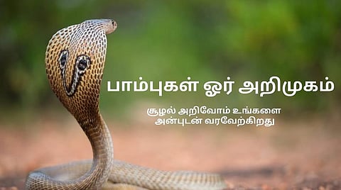 இயற்கை மீது காதல் கொள்ள உதவும்  'சூழல் அறிவோம்' காணொலிகள்