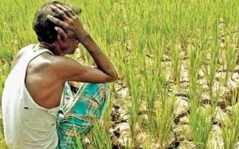 பெரியாறு கால்வாய்க்கான நிலத்திற்கு இழப்பீடு இல்லை: 26 ஆண்டுகளாக போராடும் சிவகங்கை விவசாயிகள் 