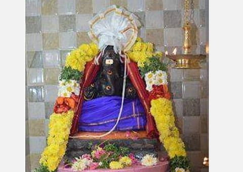 பிள்ளையாருக்கு அருகம்புல் - விநாயக சதுர்த்தி ஸ்பெஷல்