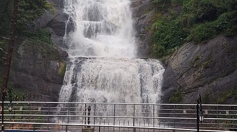 கொடைக்கானல் மலைப்பகுதியில் தொடர்மழையால் வெள்ளிநீர்வீழ்ச்சியில் கொட்டும் நீர்.