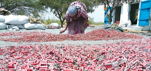 சிவகாசி அருகே ஒரு பட்டாசு ஆலையில் பட்டாசுகளை உலர்த்தும் தொழிலாளி.