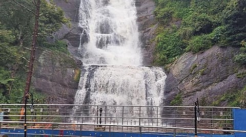 கொடைக்கானலில் தொடர் மழையால் வெள்ளி நீர்வீழ்ச்சியில் ஆர்ப்பரித்துக் கொட்டும் தண்ணீர்.