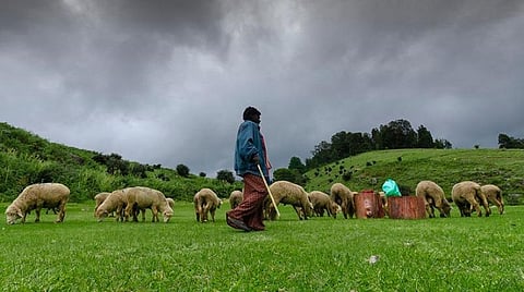 மன்னவனூர் எழும்பள்ளம் கண்மாய் குடிமராமத்துப் பணிகளுக்கு உயர் நீதிமன்ற கிளை தடை