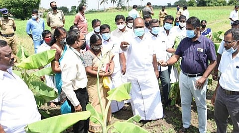 மதுரையில் சாம்பல் சத்து குறைபாடு உள்ள நிலங்களை அமைச்சர் உதயகுமார் ஆய்வு செய்து அறிவுரை
