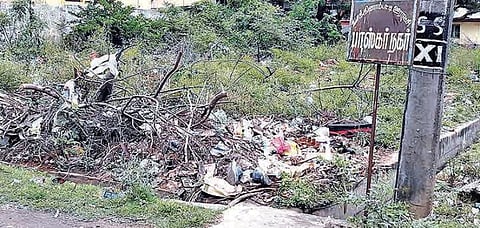 பொள்ளாச்சி மாக்கினாம்பட்டி ஊராட்சியில் புதர்மண்டிக் காணப்படும் காலி வீட்டுமனைகள். படம்: எஸ்.கோபு﻿