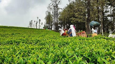 பிரதிநிதித்துவப் படம்