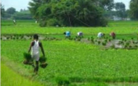 இனி விவசாய சங்கங்கள் மூலமாகவே குடிமராமத்து பணிகள்: ‘பிட்டுக்கு மண் சுமந்த கதையை’ சுட்டிக்காட்டி நீதிபதி உத்தரவு