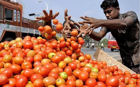 20 ரூபாய்க்கு விற்ற தக்காளி 50 ரூபாயாக உயர்வு: மழையால் செடிகளில் அழுகுவதால் வரத்து குறைவு