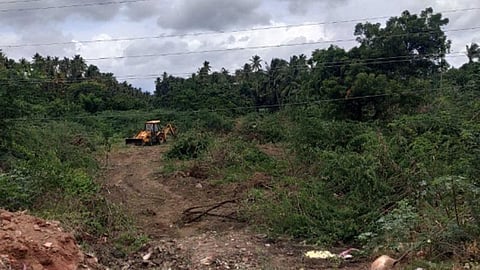 தென்காசியில் மேலும் ஒரு மியாவாகி சிறு வனத்தை உருவாக்க முயற்சி