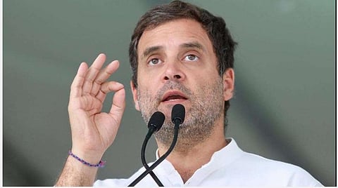 காங்கிரஸ் எம்.பி. ராகுல் காந்தி : கோப்புப்படம்