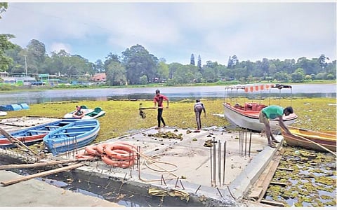 ஏற்காடு ஏரியில் உள்ள படகு குழாம் அருகே நீரில் படர்ந்துள்ள ஆகாயத்தாமரை செடிகளை அகற்றும் பணியில் ஈடுபட்டுள்ள பணியாளர்கள்.