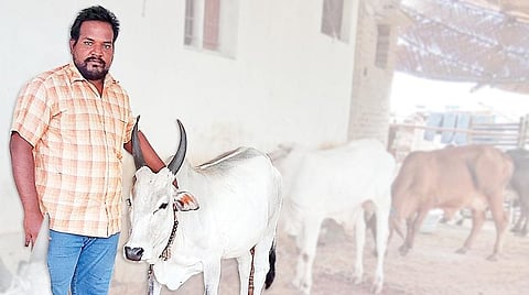மாடு வளர்க்கும் எம்.பி.ஏ பட்டதாரி சானம், பஞ்சகவ்யத்தில் மதிப்புக் கூட்டுப் பொருள் தயாரிப்பு