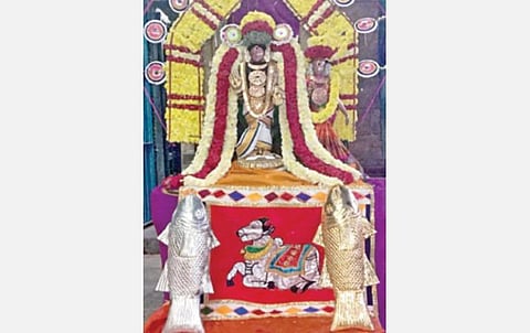 நாகையில் நேற்று நடைபெற்ற அதிபத்த நாயனார் தங்க மீனை கடலில் விடும் நிகழ்வுக்கு முன்னதாக நீலாயதாட்சி சமேத காயாரோகண சுவாமி முன்பாக சமர்ப்பிக்கப்பட்ட தங்க, வெள்ளி மீன்கள்.