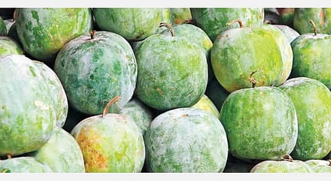 குடும்பத்தாருக்கு திருஷ்டி சுற்றிப் போடுங்கள்;  மகாளய பட்ச அமாவாசையில் திருஷ்டி கழிப்பது விசேஷம்