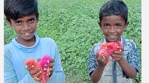 பழைய நோட்டுப் புத்தகத்துக்கு வண்ணக் கோழிக்குஞ்சு: குழந்தைகளுக்குக் கொண்டாட்டம், பெற்றோருக்குத் திண்டாட்டம்