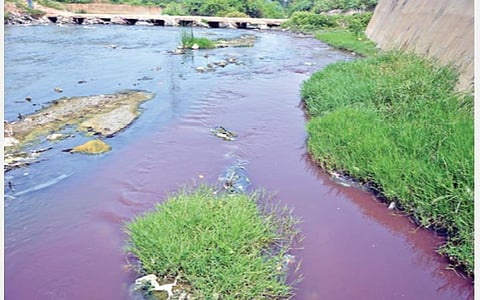 ஈரோடு பிச்சைக்காரன்பள்ளம் ஓடையில் ஓடும் சாயக்கழிவு நீர் (கோப்பு படம்)