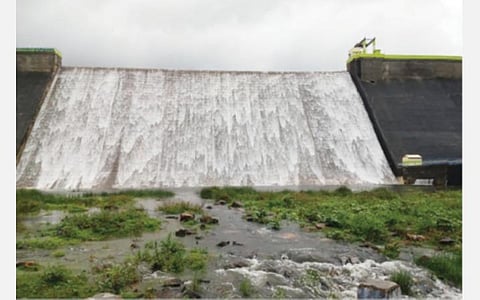 அடவிநயினார் அணை நிரம்பியதால் அணைக்கு வரும் நீர் அப்படியே உபரியாக வெளியேறுகிறது.