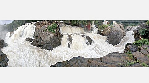 ஒகேனக்கல்லில் நீர்வரத்து உயர்வு காரணமாக பிரதான அருவியில் சீறிப்பாயும் வெள்ளம்.﻿