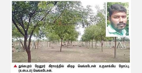 மரம் வளர்ப்பில் ஆர்வம் காட்டும் குன்னம் விஏஓ