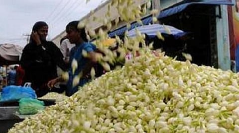 குளிர் காலத்திலும் மல்லிகை விளைச்சலை அதிகரிக்க என்ன செய்யலாம்?- விவசாயிகளுக்கு வேளாண் தொழில்நுட்ப வல்லுநர்கள் அறிவுரை
