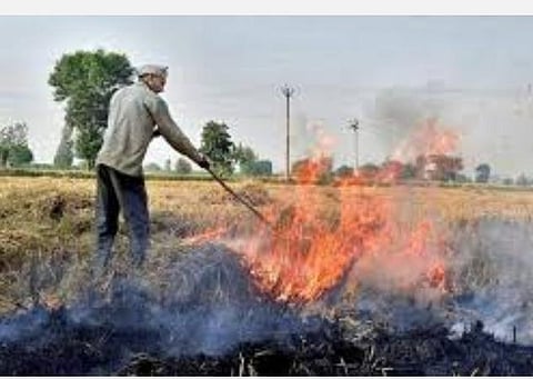 பயிர் கழிவுகளை எரிப்பதால் டெல்லியில் அதிகரிக்கும் காற்று மாசு: அண்டை மாநில அமைச்சர்களுடன் 1-ம் தேதி ஆலோசனை