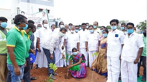 சங்கரன்கோவிலில் மரக்கன்றுகள் நடும் பணி: அமைச்சர் தொடங்கி வைத்தார்