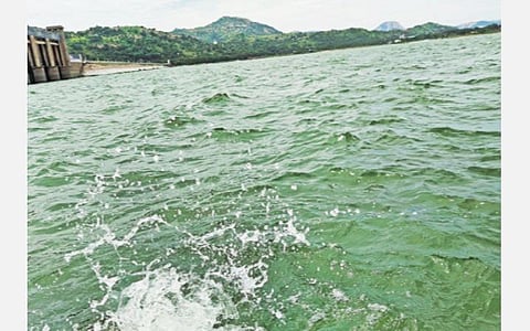 நீர்பிடிப்பு பகுதிகளில் பெய்து வரும் மழையால், கிருஷ்ணகிரி அணையின் நீர்மட்டம் 42.45 அடியாக உயர்ந்துள்ளது. அதிக அளவில் தண்ணீர் தேங்கி கடல் போன்று காட்சியளிக்கும் கிருஷ்ணகிரி அணை. 		     படம்: எஸ்.கே.ரமேஷ்