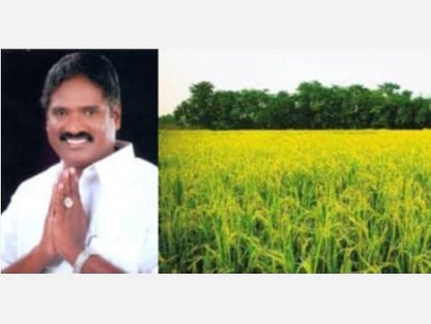 விவசாய நிலங்களில் ஆனைக்கொம்பன் நோயின் தாக்கம்; தமிழக அரசு விரைந்து கட்டுப்படுத்த வேண்டும்: திமுக வலியுறுத்தல்