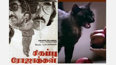 ’’20 நாளில் ‘சிகப்பு ரோஜாக்கள்’ எடுத்தேன்; அந்த பங்களாவுக்காக அலைந்தேன்; கறுப்புப் பூனைக்காக கேஸ் போட்டார்கள்!’’  - இயக்குநர் பாரதிராஜாவின் ‘சிகப்பு ரோஜாக்கள்’ சுவாரஸ்யங்கள்