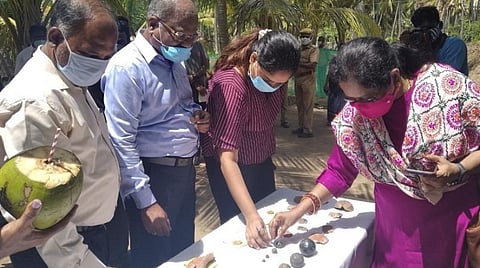 கீழடி அகழாய்வைப் பார்வையிட்ட உயர் நீதிமன்ற நீதிபதிகள்