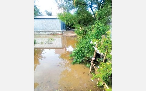 கோமுகி அணை முன்னறிப்பின்றி திறக்கப்பட்டதால் பசுங்காயமங்கலம் குடியிருப்பு பகுதியில் சூழ்ந்துள்ள தண்ணீர்.