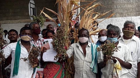 திண்டுக்கல்லில் மானாவாரி பயிர்கள் கருகியதால் பாதிப்பு: ஆட்சியர் அலுவலகத்தை முற்றுகையிட்ட விவசாயிகள் 