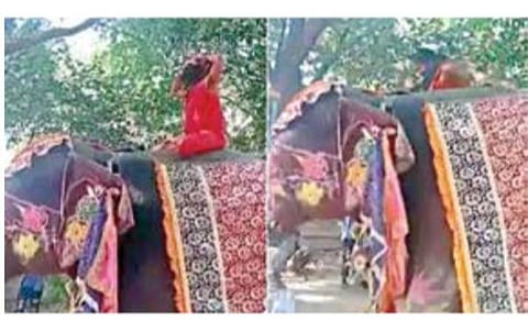யானை மீது யோகா செய்த போது (முதல் படம்) தவறி கீழே விழுந்த யோகா குரு பாபா ராம்தேவ்.
