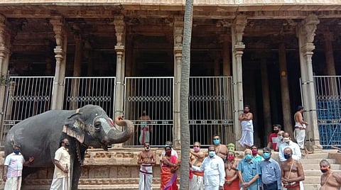 ஸ்ரீரங்கத்தில் வைகுண்ட ஏகாதசி
பெருவிழா முகூர்த்தக் கால் நடும் நிகழ்ச்சி