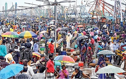 புரட்டாசி மாதம் முடிந்த முதல் ஞாயிற்றுக்கிழமையான நேற்று சென்னை காசிமேடு மீன்பிடி துறைமுகத்தில் பெய்த மழையில் குடை பிடித்தபடி மீன்களை வாங்க குவிந்த வியாபாரிகள் மற்றும் பொதுமக்கள். படங்கள்: பு.க.பிரவீன்