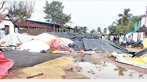 தஞ்சாவூர் அருகே உள்ள வண்ணாரப்பேட்டை கொள்முதல் நிலையத்தில் மழைநீரில் அடித்துச் செல்லப்பட்டு, சாலை முழுவதும் சிதறி கிடக்கும் நெல்மணிகள்.