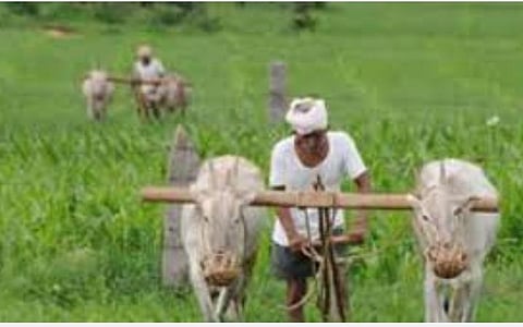 நுகர்வோர் குறியீட்டு எண்; வேளாண் தொழிலாளர் 1037: ஊரகத் தொழிலாளர் 1043 