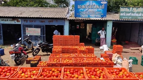 பழநி தக்காளி மார்க்கெட்டிற்கு விற்பனைக்கு விவசாயிகளால் கொண்டுவரப்பட்ட தக்காளிகள்.