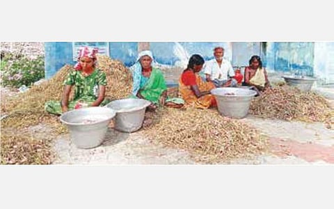 கிலோ ரூ.130-க்கு விற்றாலும் ரூ.50-க்கு கூட கேட்க ஆளில்லை; சின்ன வெங்காயத்துக்கு போதிய விலை கிடைக்காததால் விவசாயிகள் வேதனை: அரசே கொள்முதல் செய்து விற்பனை செய்ய கோரிக்கை