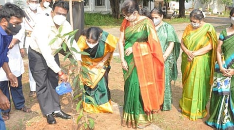மதுரை காந்தி மியூசியத்தில் மியாவாக்கி அடர்வனம்: சுற்றுலாப் பயணிகளைக் கவர மாநகராட்சி ஏற்பாடு