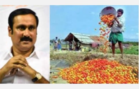 அழிக்கப்படும் காய்கனிகள்; வேளாண் விளைபொருள் கொள்முதல் வாரியம் அமைக்க வேண்டும்: அன்புமணி வலியுறுத்தல்