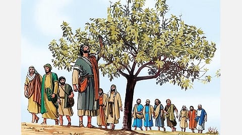 இயேசுவின் உருவகக் கதைகள் 17: கனி தராத மரம் போல…