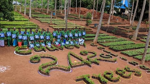 பிரதிநிதித்துவப் படம்.