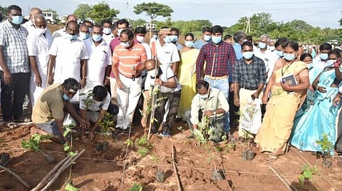 பூனாம்பாளையத்தில் அடர்வனம் அமைக்கும் பணியை மரக்கன்றை நட்டுவைத்து தொடங்கி வைக்கிறார் மாவட்ட ஆட்சியர் சு.சிவராசு. உடன் மாவட்ட வருவாய் அலுவலர் த.பழனிகுமார், லால்குடி வருவாய்க் கோட்டாட்சியர் ச.வைத்தியநாதன் உள்ளிட்டோர்.