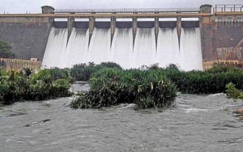 தென்காசியில் தொடர் மழை: கருப்பாநதி அணையில் 55 மி.மீ. மழைப்பதிவு