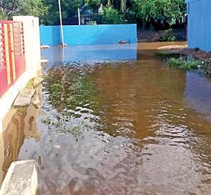 திருக்கழுக்குன்றம் பேரூராட்சியில் பெரிய தெருவின் பின்னால் குடியிருப்புகளை சூழ்ந்துள்ள மழைநீர்.