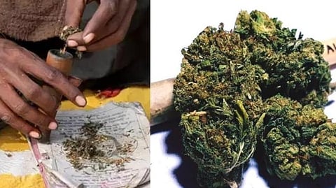 மதுரை அவனியாபுரத்தில் கஞ்சாவை டோர் டெலிவரி முறையில் விற்பனை செய்துவந்த இருவர் கைது