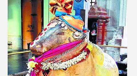 மகரம்; டிசம்பர் மாத பலன்கள் ; உடனிருப்போர் துரோகிகள் உஷார்; கடன் பிரச்சினை தீரும்; சாமர்த்தியப் பேச்சு; எதிலும் கவனம் தேவை! 